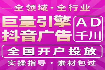 网络推广秘籍：竞价排名成功案例集锦